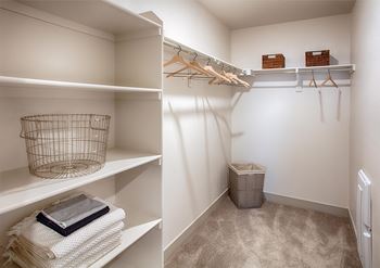Carpeted walk in closet with stacked shelves and hanger rack